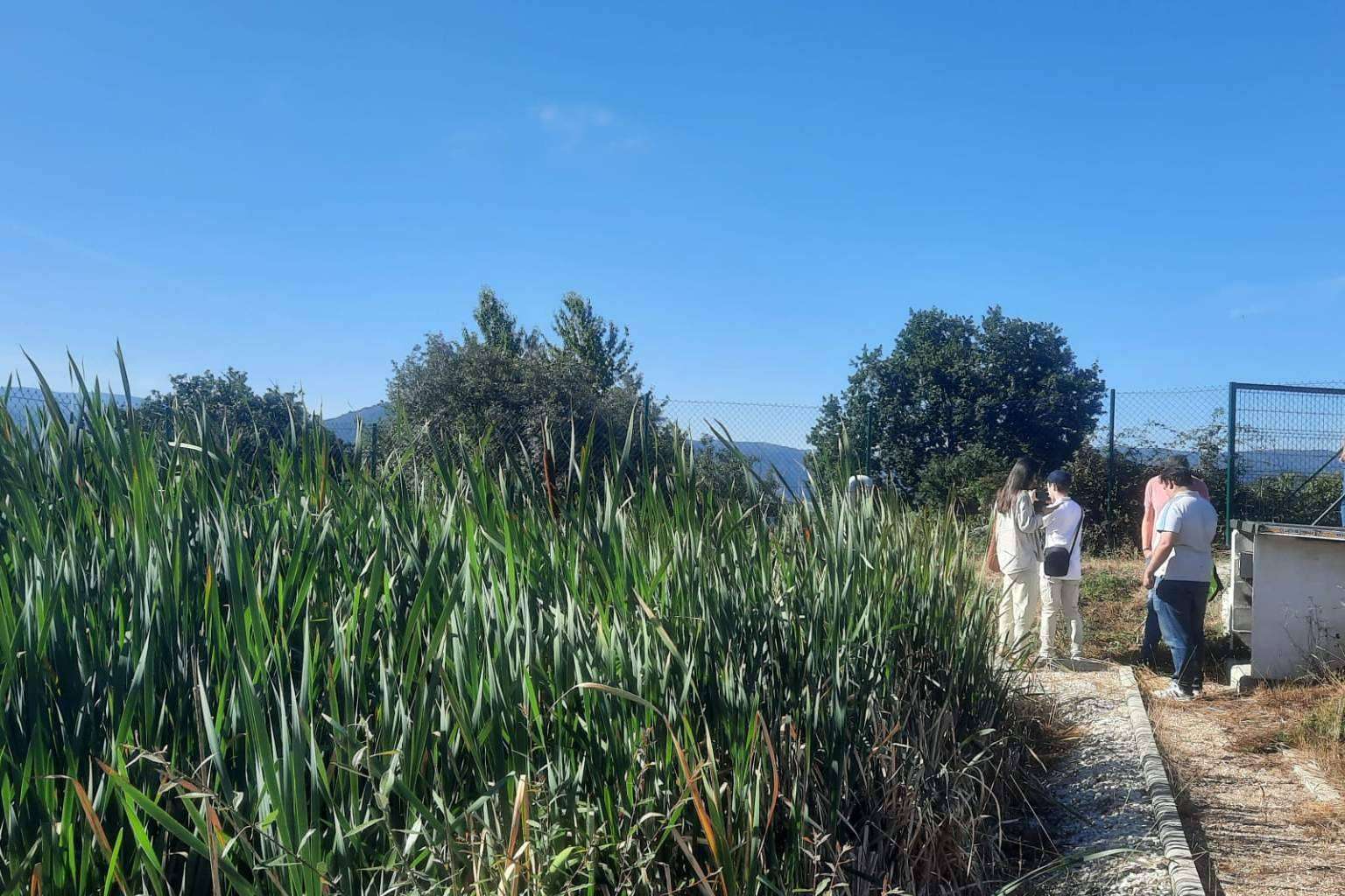 Los humedales como técnica medioambiental de reciclaje de aguas residuales, GoldProjects