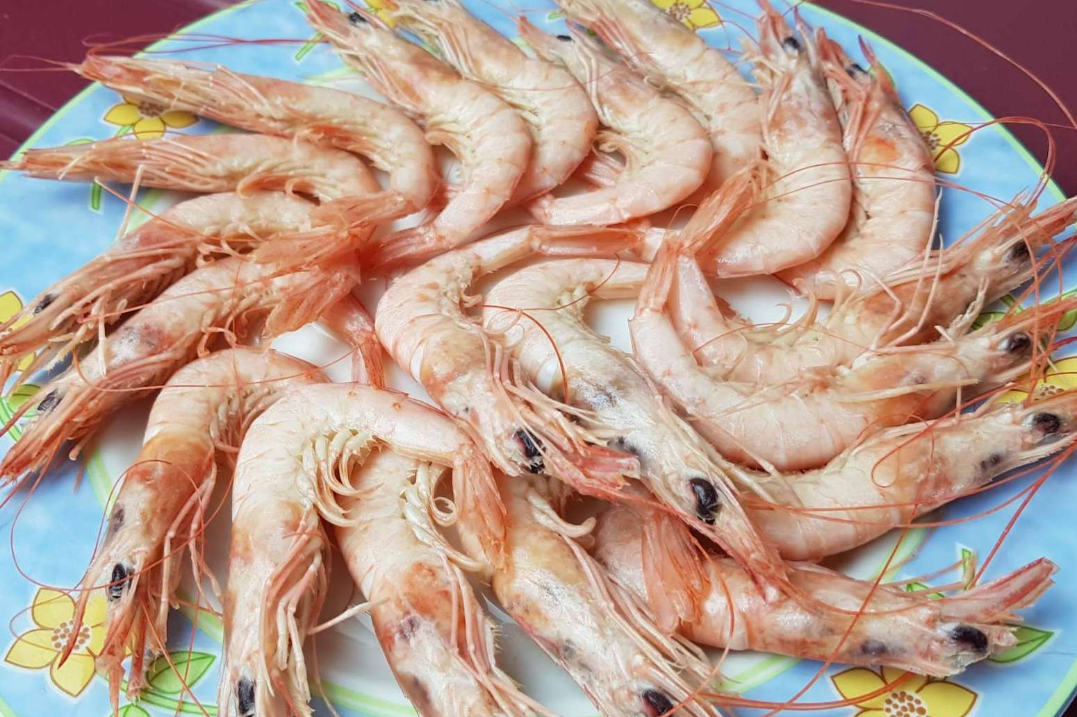 ¿Dónde adquirir pescado y marisco fresco de calidad? Lonja de Ayamonte