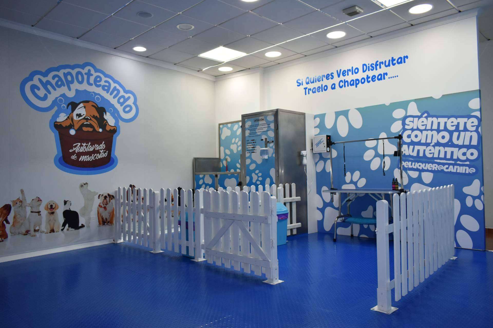 Chapoteando, un servicio de autolavado para mascotas
