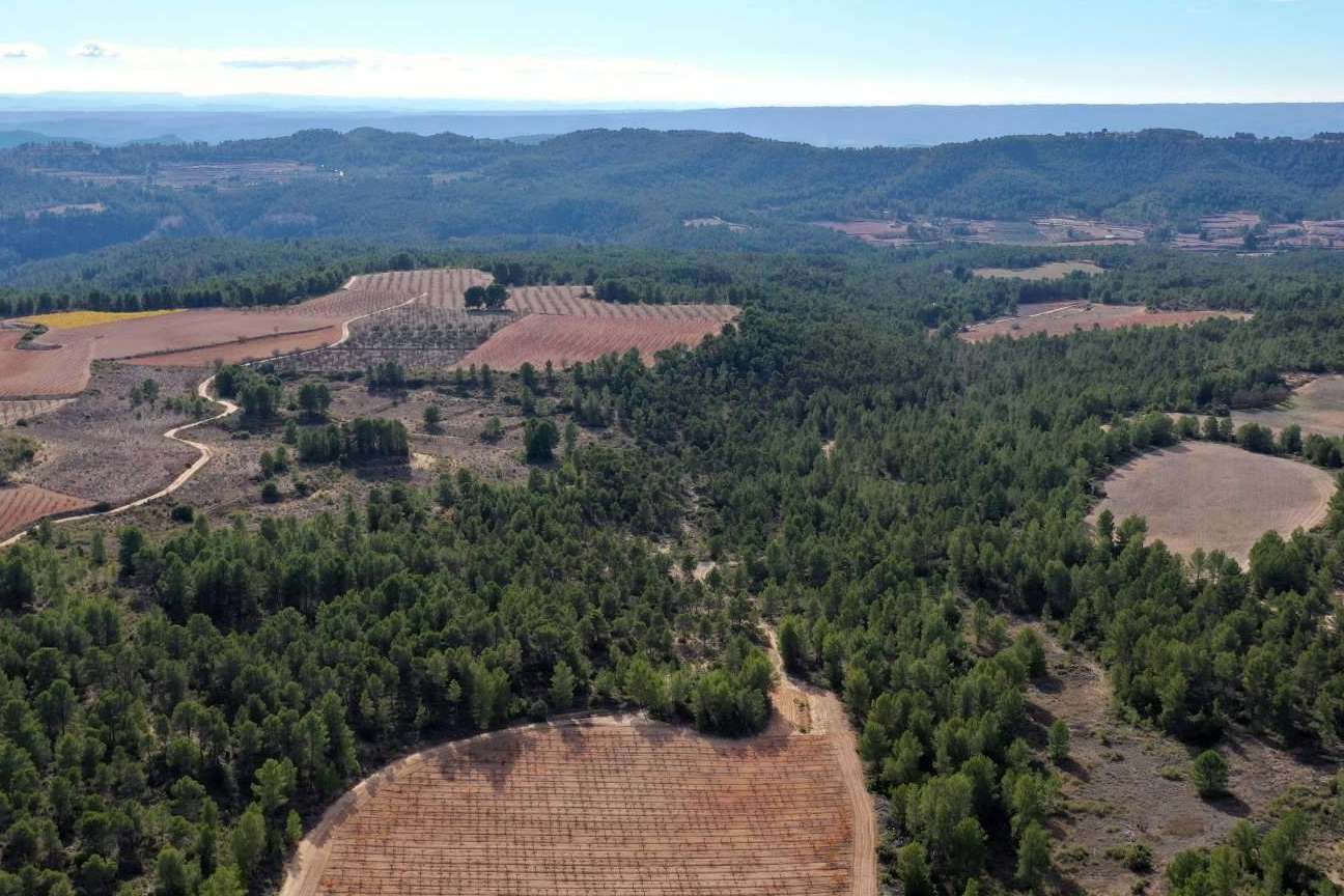 Los vinos de Bodegas Vegalfaro han sido galardonados en múltiples concursos internacionales
