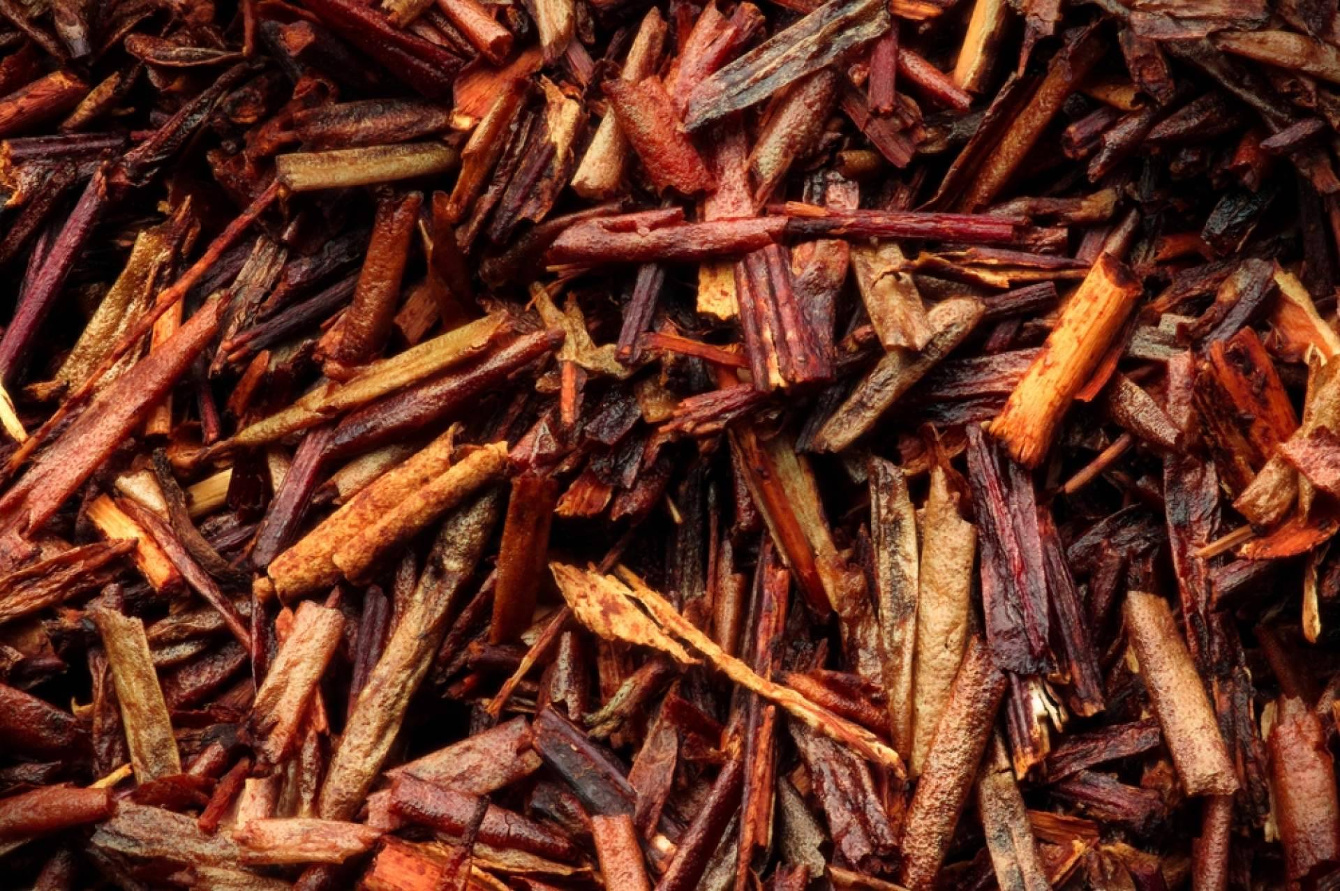 Conocer las propiedades de las infusiones de Rooibos