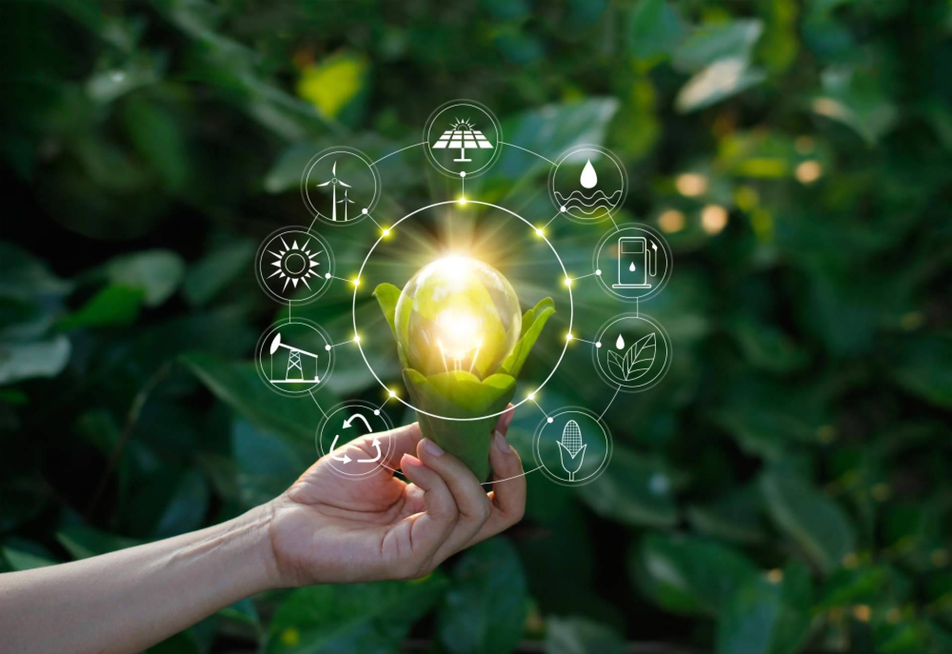 10 años al lado de los administradores de fincas, el aniversario de Multienergía Verde