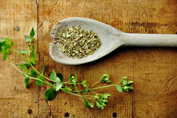La magia del orégano: 5 beneficios para tu salud que no conocías