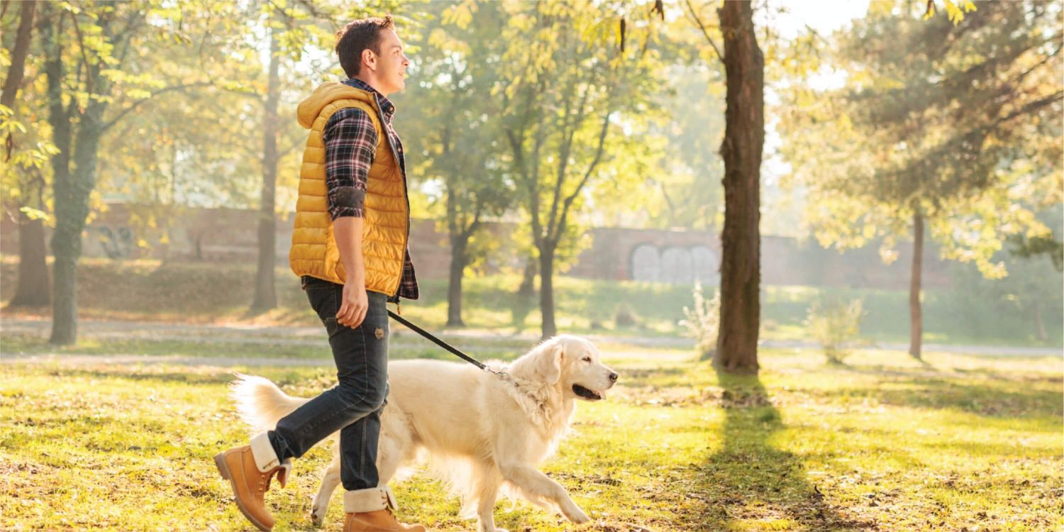 Destinos para disfrutar en Semana Santa con tu perro sin salir de España