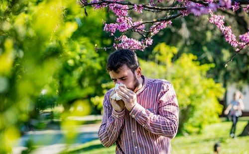 La severidad de las alergias de primavera