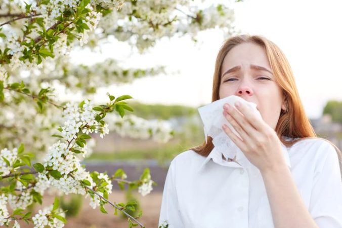 ¡Primavera época de alergias! aquí te contamos las más Comunes en España 2 Merca2.es Este tipo de alergias son causadas principalmente por el polen de las plantas