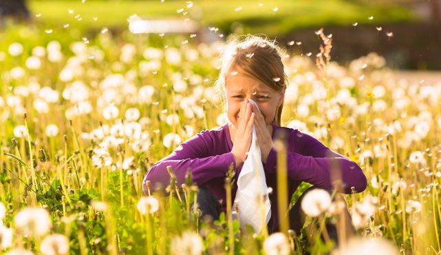 ¡Primavera época de alergias! aquí te contamos las más Comunes en España 6 Merca2.es Los síntomas que las acompañan
