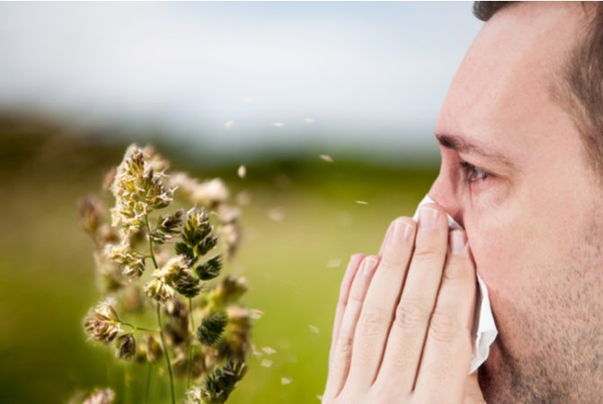 ¡Primavera época de alergias! aquí te contamos las más Comunes en España 7 Merca2.es Alergia al polen: síntomas y causas en primavera