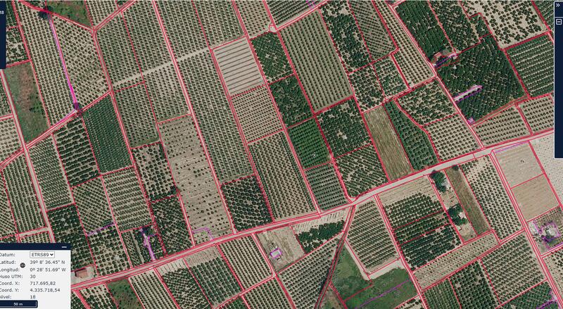 Santander y Cooperativas Agro-alimentarias renuevan su acuerdo para apoyar a más de 3.600 cooperativas