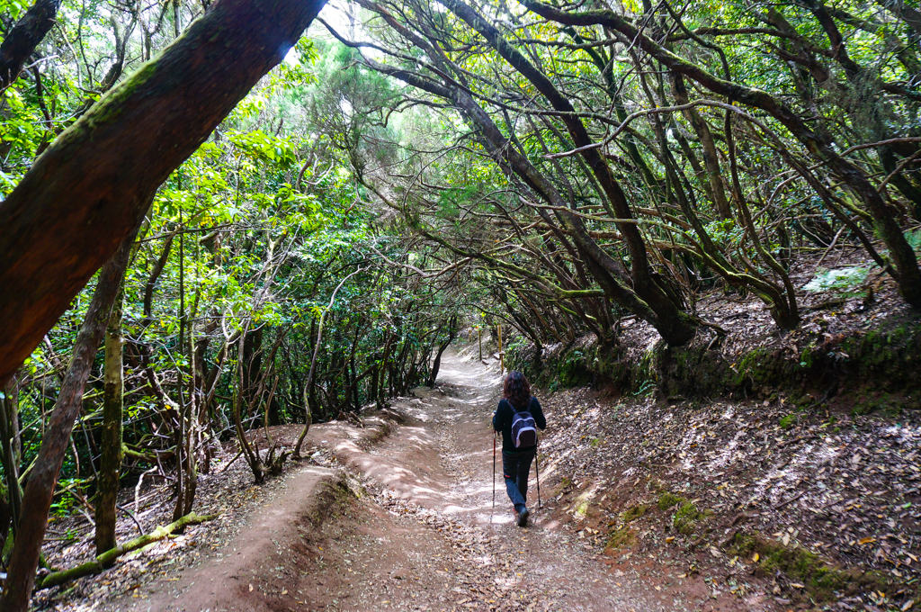 CAMINO DE LOS SENTIDOS