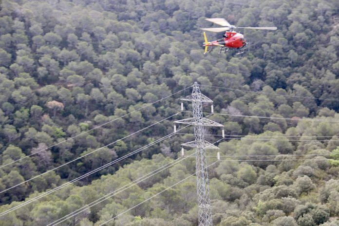 Endesa Revisión redes con helicóptero en bosque