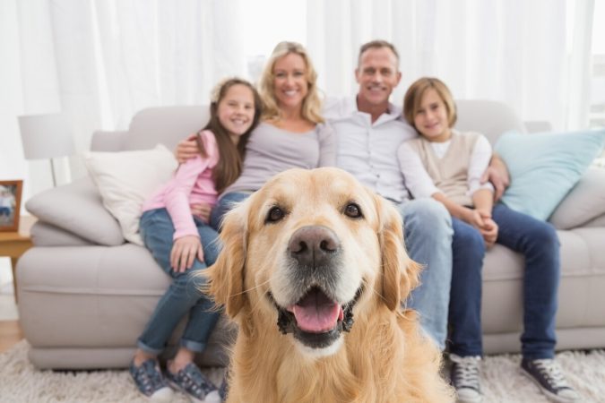 Esto es lo que cuesta mantener una mascota en España, más de uno se lo pensará 2 Merca2.es Los gastos ocultos de mantener una mascota: más allá de comida y juguetes