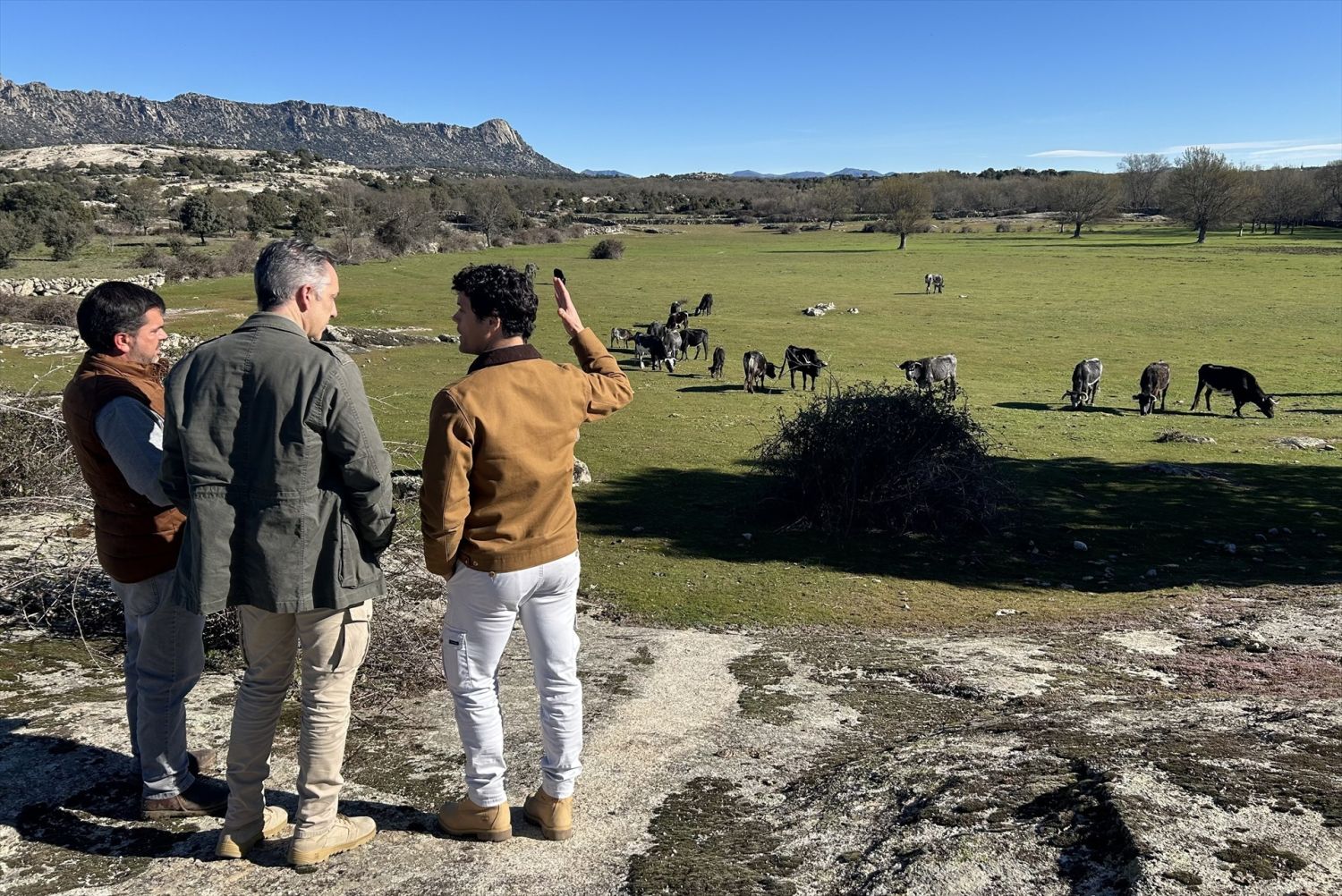 Los agricultores y ganaderos otorgan al seguro agrario la valoración más alta desde 2019