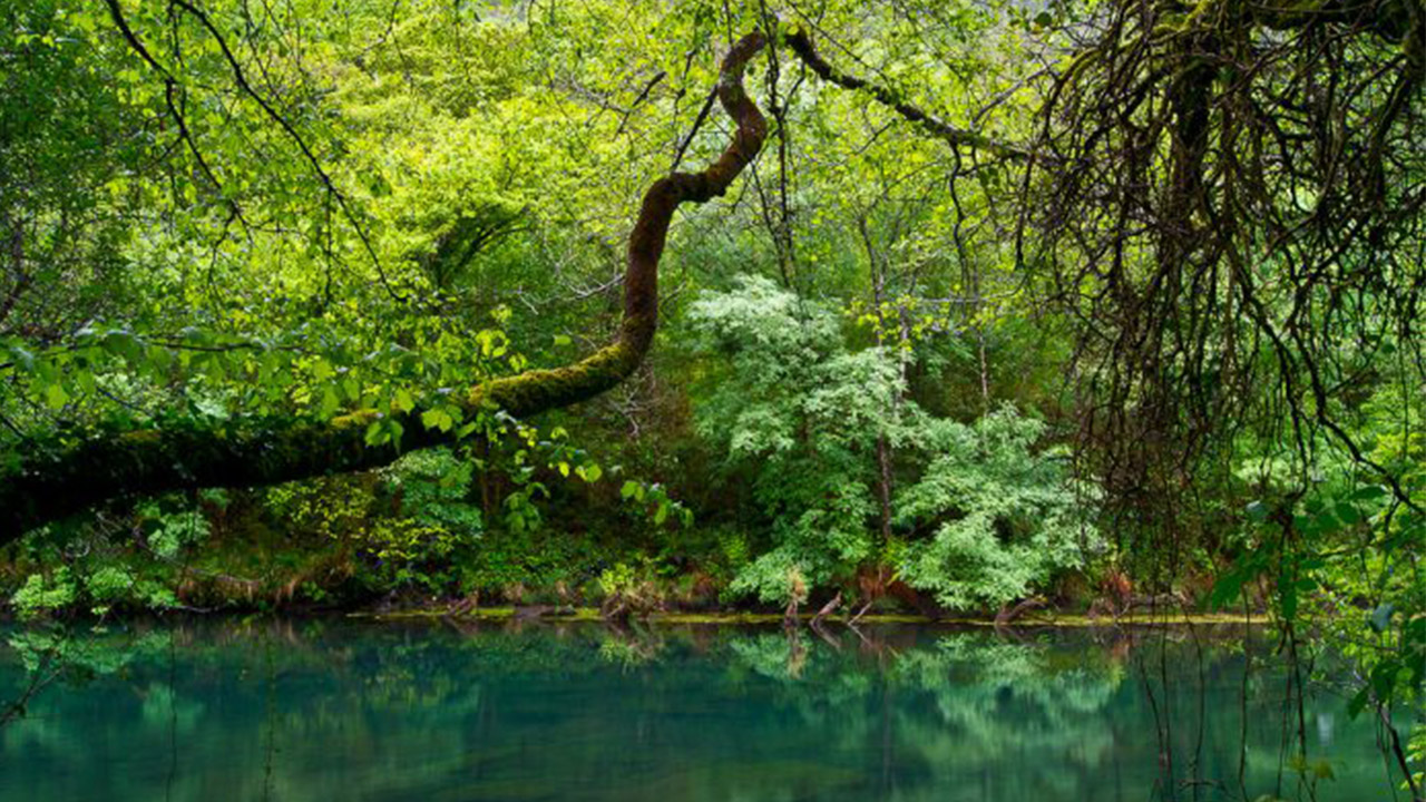 FLORA Y FAUNA: CONSEJOS PARA VISITANTES