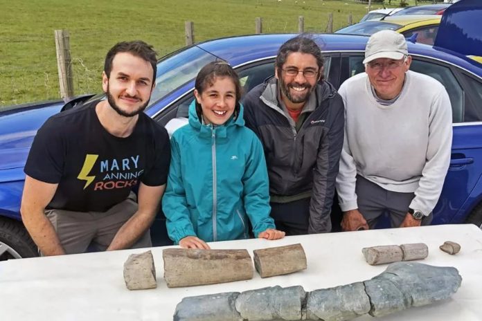 Una niña de 11 años descubrió el fósil de dinosaurio más grande del mundo