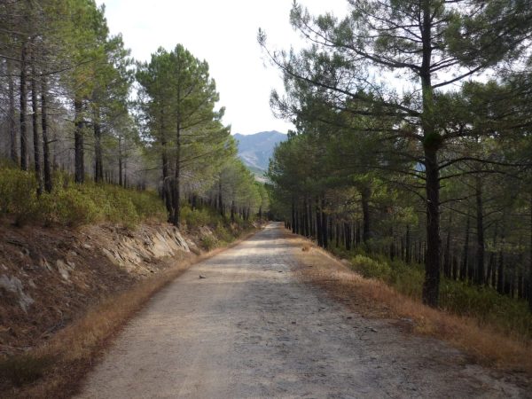 La ruta de senderismo mas bonita de Madrid 4 Merca2.es