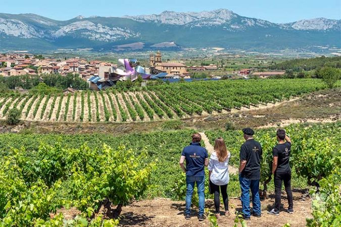 Las mejores bodegas de la Rioja Alavesa