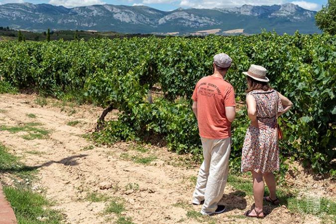 Elciego y el Hotel Marqués de Riscal en la Rioja Alavesa