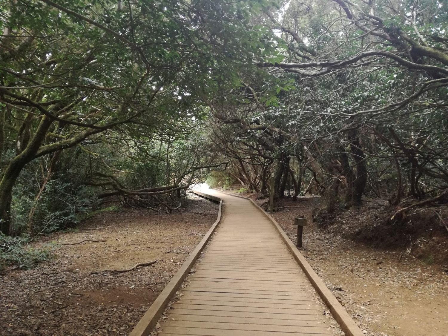 SENDERO DE LAS PRESILLAS