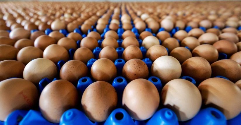 ¿Qué podemos hacer para ahorrar en la compra de alimentos?