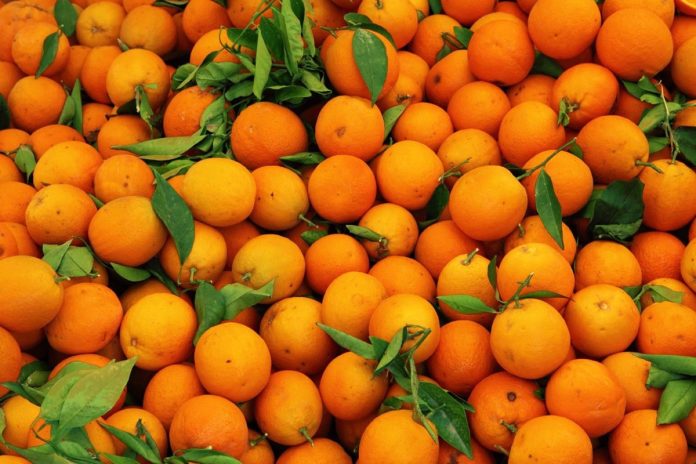 Esta fruta rica en cítricos te hará sentirte liviano y te ayudará a elevar tus defensas: No es la naranja