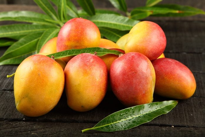 ⁠El remedio sagrado de las hojas de mango que debes conocer