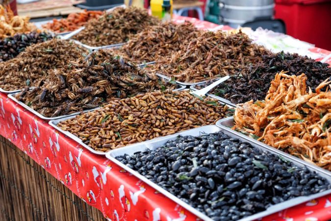 ¿Cómo es posible que estemos comiendo insectos sin saberlo?