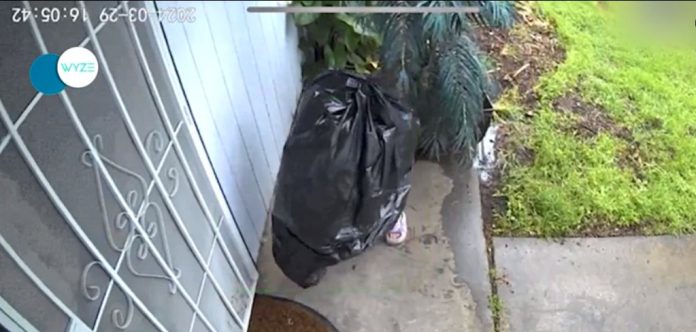 El video viral del hombre se disfrazó de bolsa de basura para robar afuera de una casa ¡y funciona!