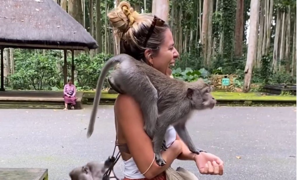 La española en Australia que descubrió cómo viajar barato: ¡Conoce su truco!