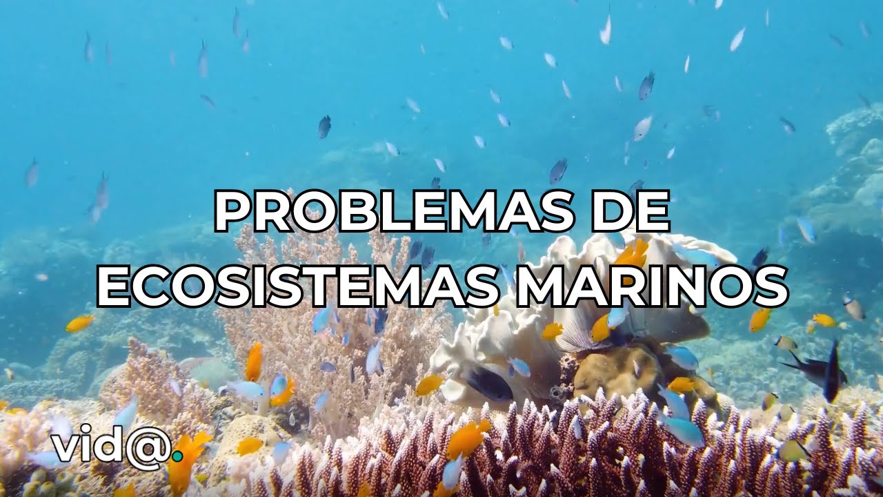 Protección de ecosistemas marinos