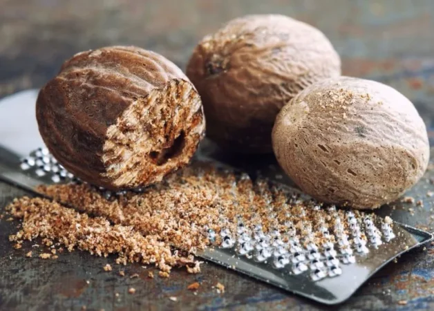 alimentos
