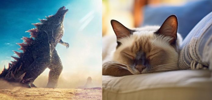 Un gato durmiendo fue la inspiración para hacer a Godzilla en la última película ¡Y con video!