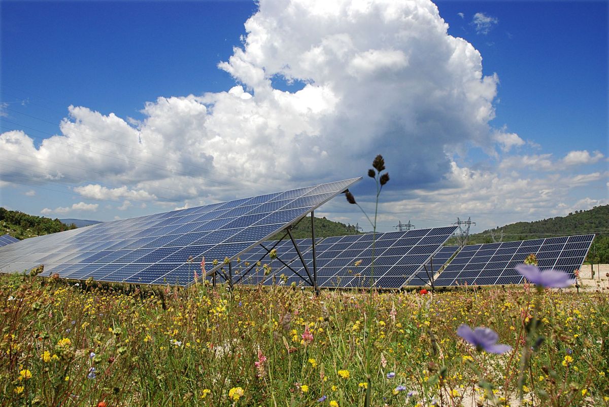 Akuo se adjudica el primer proyecto agrovoltaico de Portugal