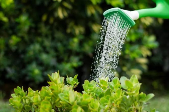 agua