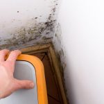 Elimina el moho y la humedad de las ventanas de tu casa con estos sencillos pasos