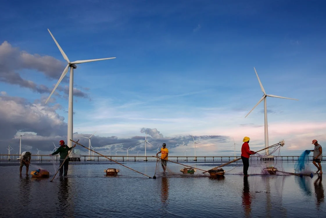 Hafesa trabaja para convertise en un referente eléctrico a través del talento