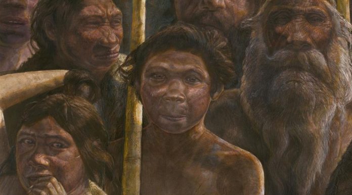 Los primeros humanos invernaban por esta increíble razón