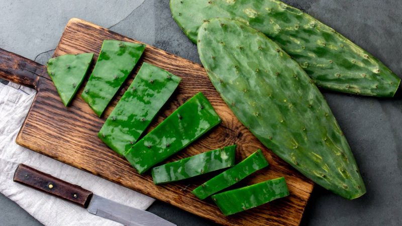 EL CACTUS, UN TESORO NUTRICIONAL EN EL DESIERTO