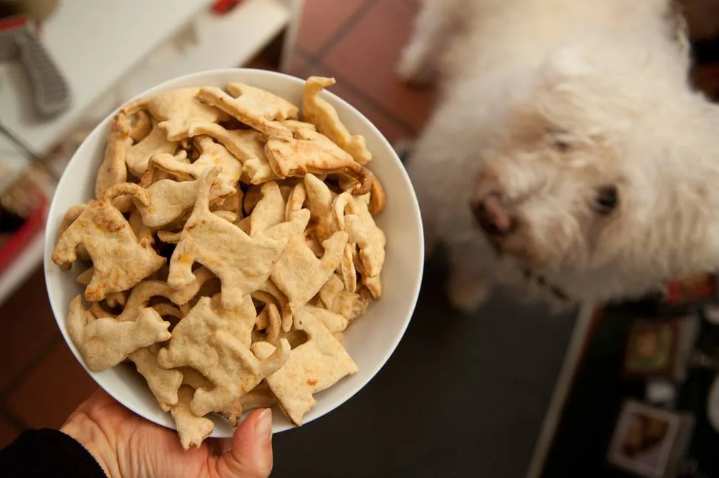 5 recetas de galletas caseras para perros que le encantarán (y a ti también)