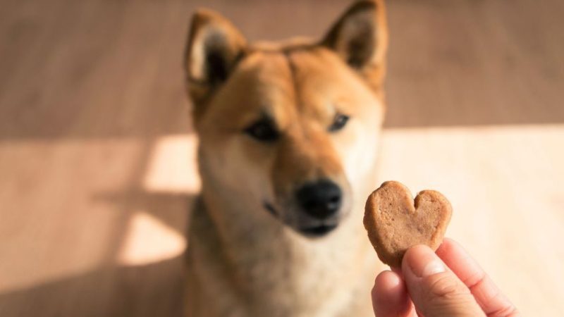 galletas