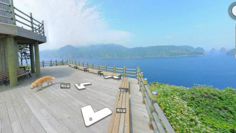 El golden retriever que persiguió la cámara de un Street View como el de Google Maps y salió en cientas de sus fotos, ¿cómo verlo? 1 Merca2.es El golden retriever que persiguió la cámara de un street view y salió en cientas de sus fotos ¿cómo verlo?