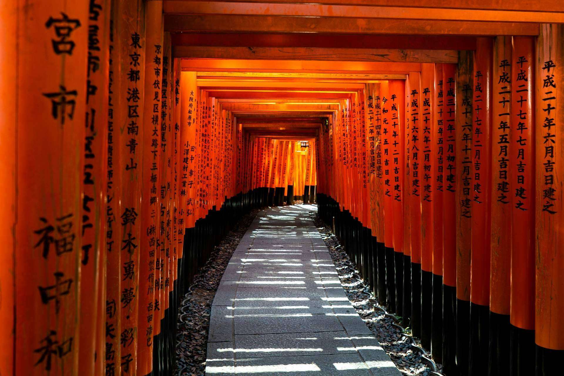 Viaxes Low Cost ofrece viajes a Asia low cost para conocer sus maravillas