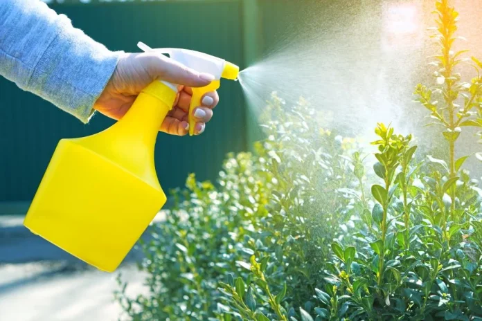 Como preparar un insecticida casero con elementos que tienes en tu casa