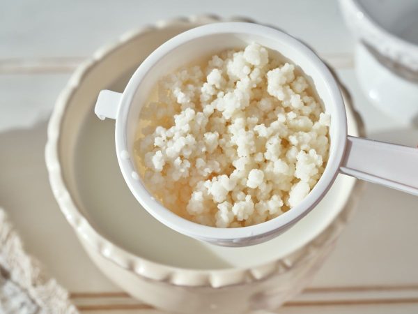 kéfir