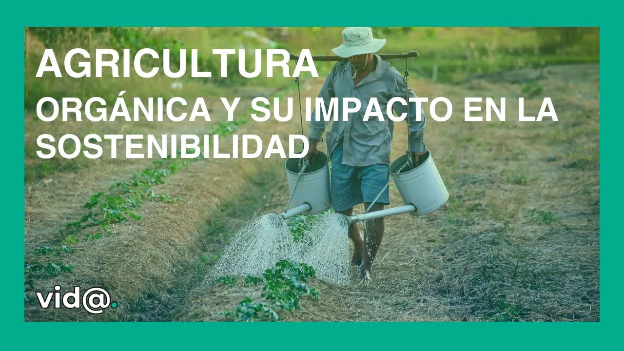 Agricultura orgánica y su impacto en la sostenibilidad