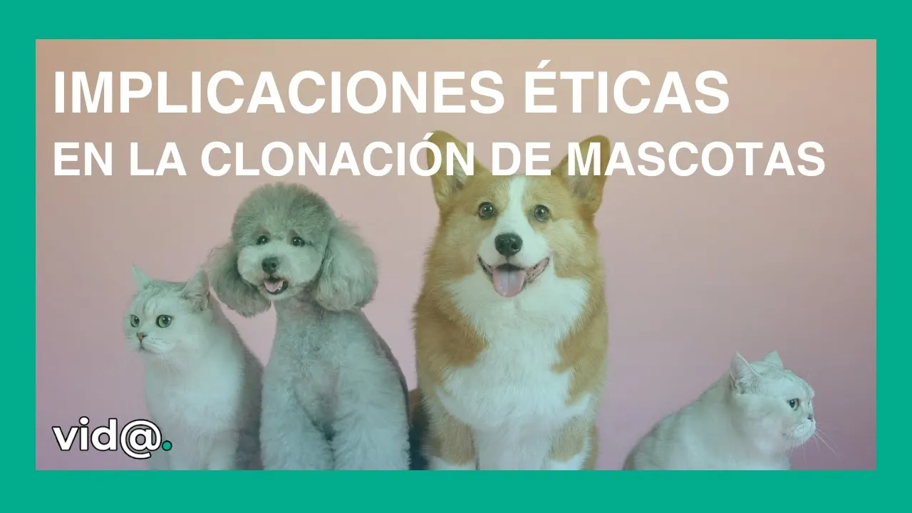 Implicaciones éticas en la clonación de mascotas