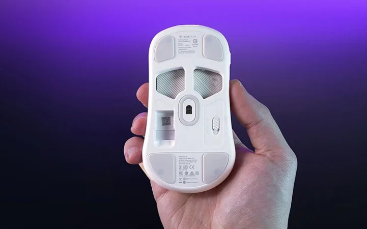 Mouse Turtle