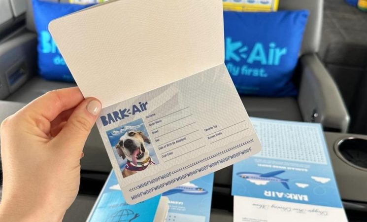 Así es Bark Air, la aerolínea exclusiva para perros 1 Merca2.es pasaporte bar air Merca2.es