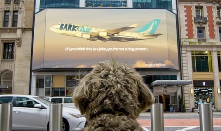 perro Merca2.es