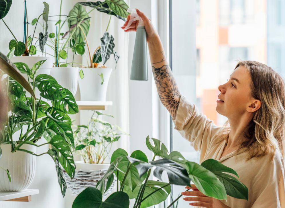 5 plantas tóxicas que debes evitar tener en tu casa
